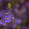 20150827-HD1_8451-2-1