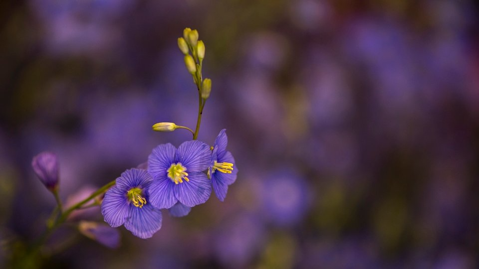 20150827-HD1_8451-2-1