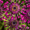 20150829-DSC_5566-2