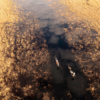 Camp3-scaled