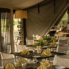 Dining-2-scaled