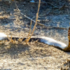 img-6892