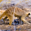 img-6896
