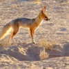 img-6897