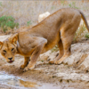 img-6898