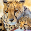 img-6900