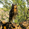img-6910